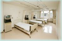 �O�l����