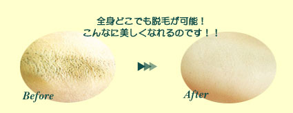 �S�g�ǂ��ł��E�щ\�I����Ȃɔ������Ȃ�̂ł��I